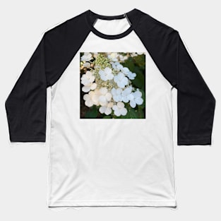 White hydrangeas Baseball T-Shirt